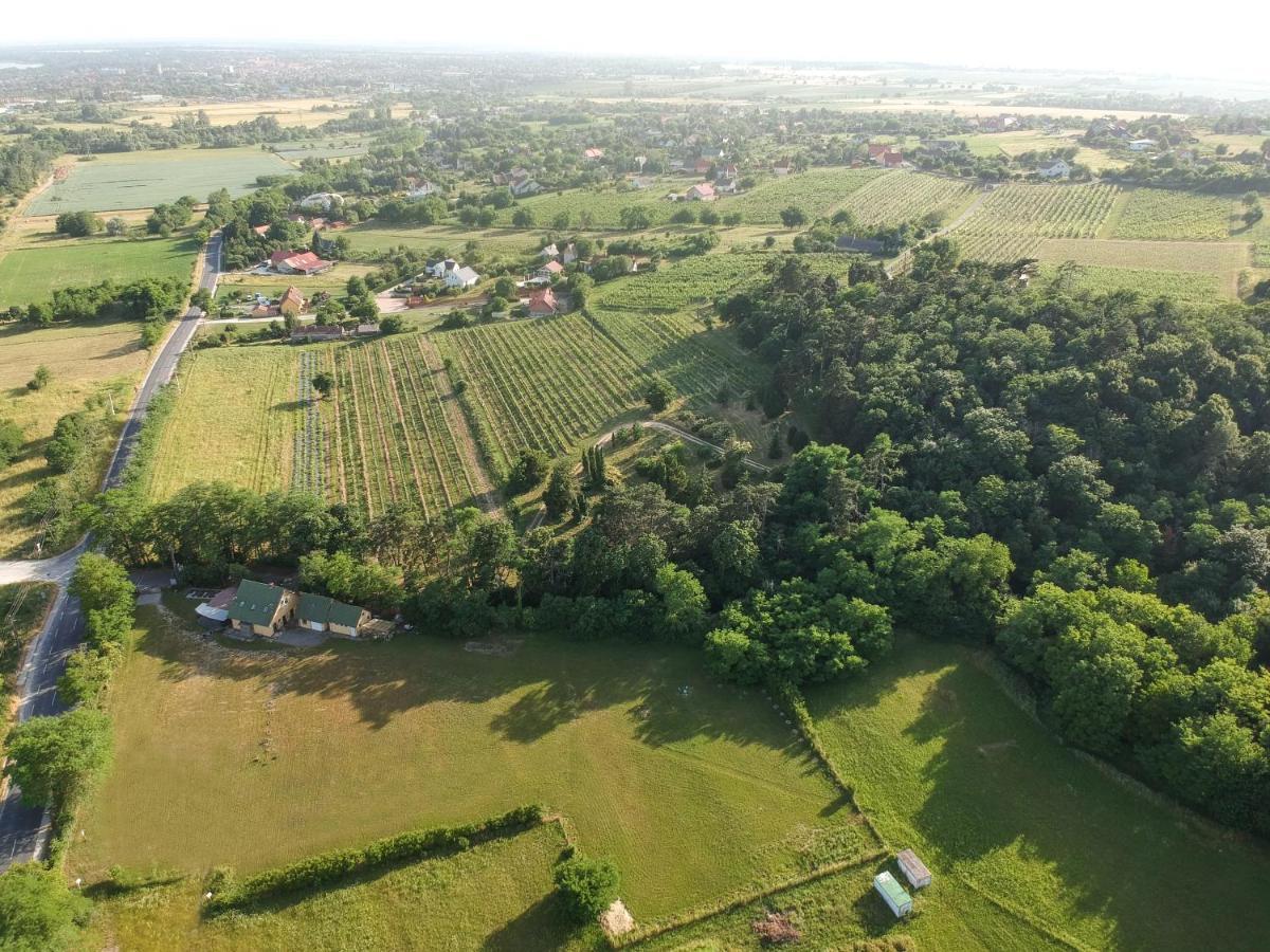 Pilikan Apartments - Park, Agroturism, Vineyard & Farm แชร์สเซกโตไม ภายนอก รูปภาพ