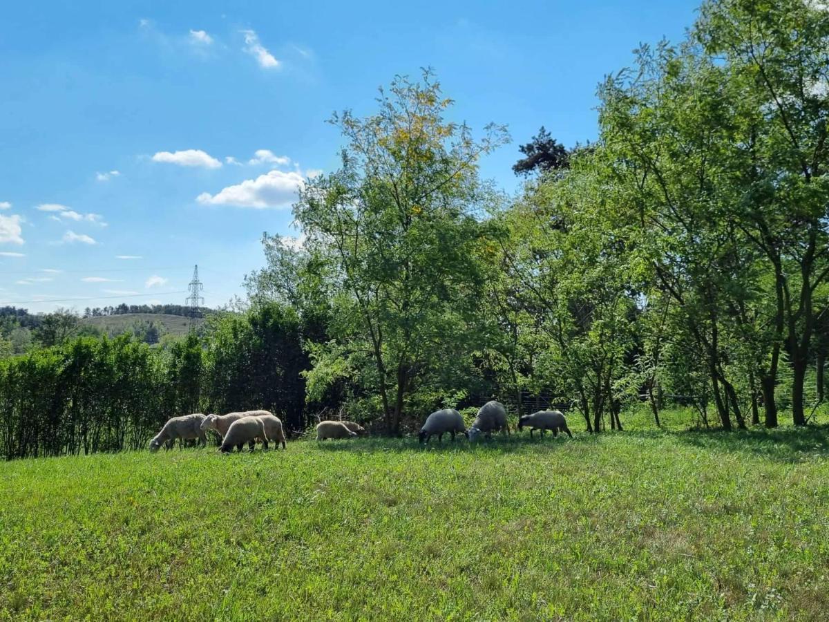 Pilikan Apartments - Park, Agroturism, Vineyard & Farm แชร์สเซกโตไม ภายนอก รูปภาพ